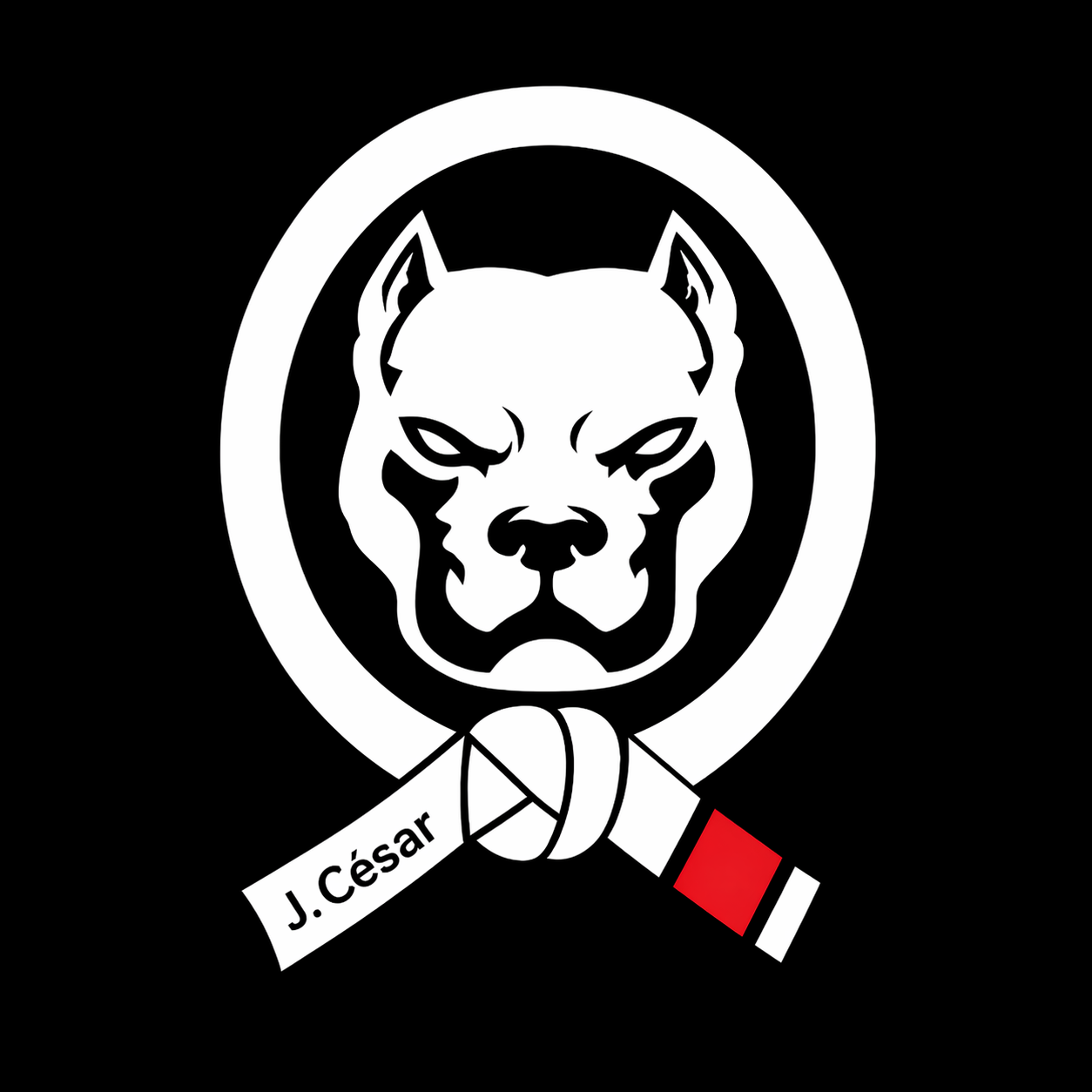 logo du club Pitbull Family de Lambres-Lez-Douai